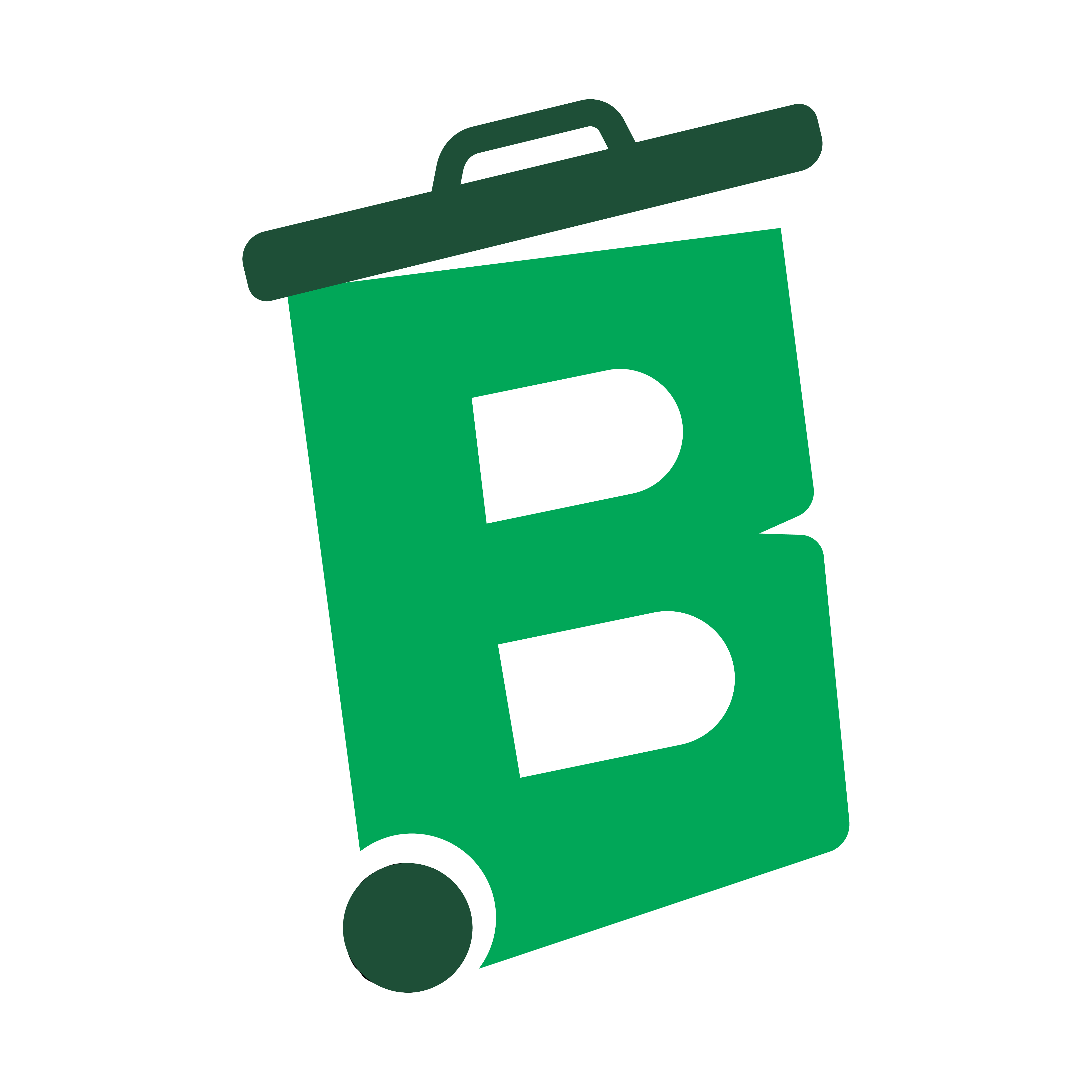 Borla360 logo mark